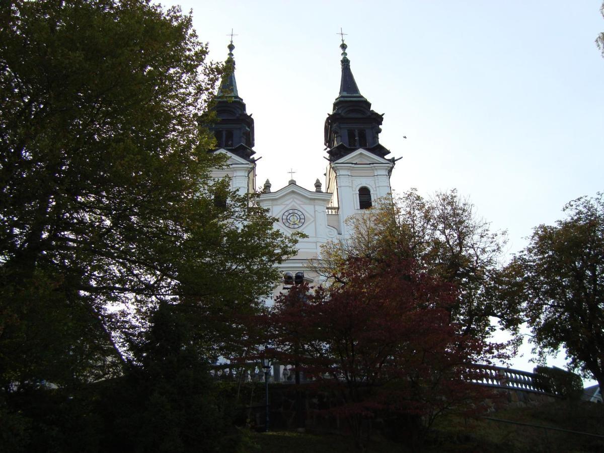 Apartamento Buena Vista Линц Экстерьер фото